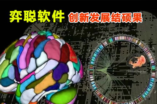 弈聰軟件 科研創(chuàng)新結(jié)碩果，信息安全軟件開發(fā)再添新動(dòng)能